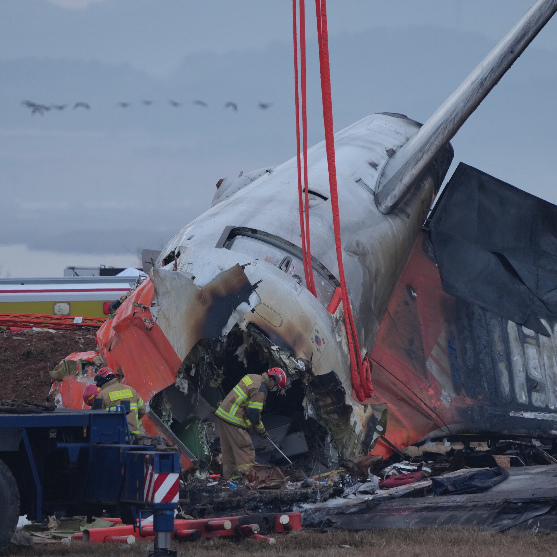 Airport Warned Repeatedly on Bird Strikes Before Fatal Jeju Air Plane Crash