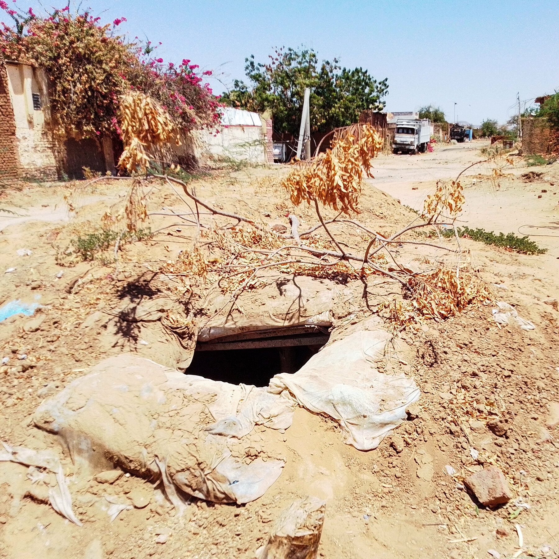 Sudan Clinic Workers Killed in Zamzam Camp