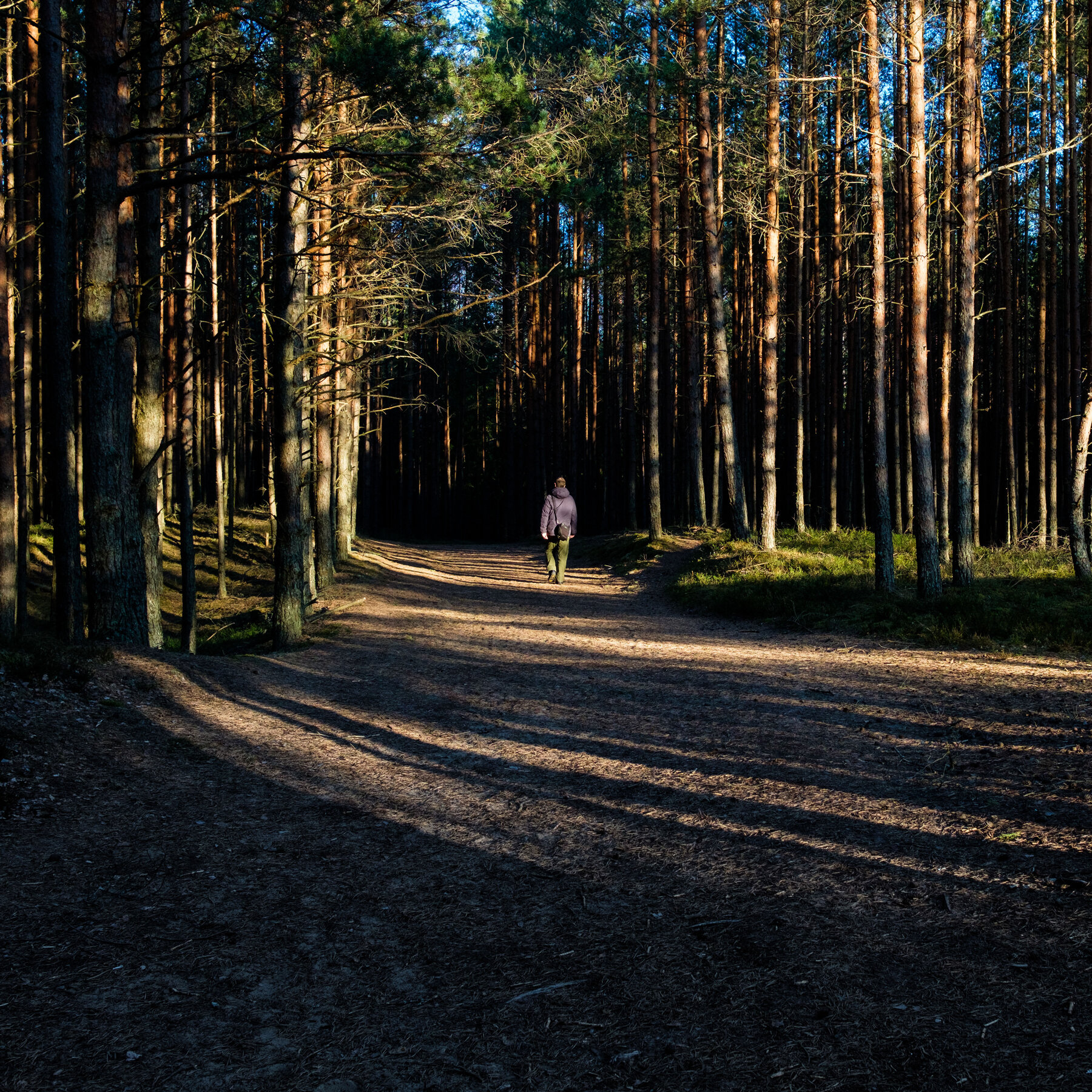 Hiker or Russian Spy? Latvia Advises Its People How to Be on the Lookout
