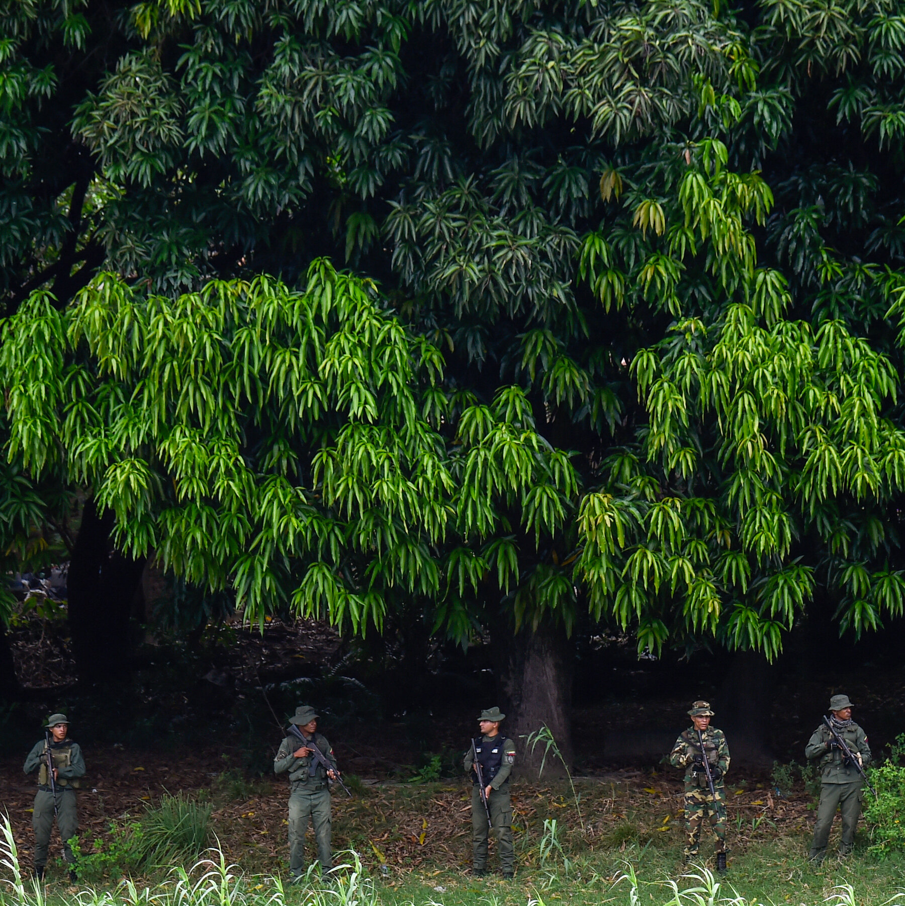 How Venezuela’s Military Might Respond to U.S. Attacks