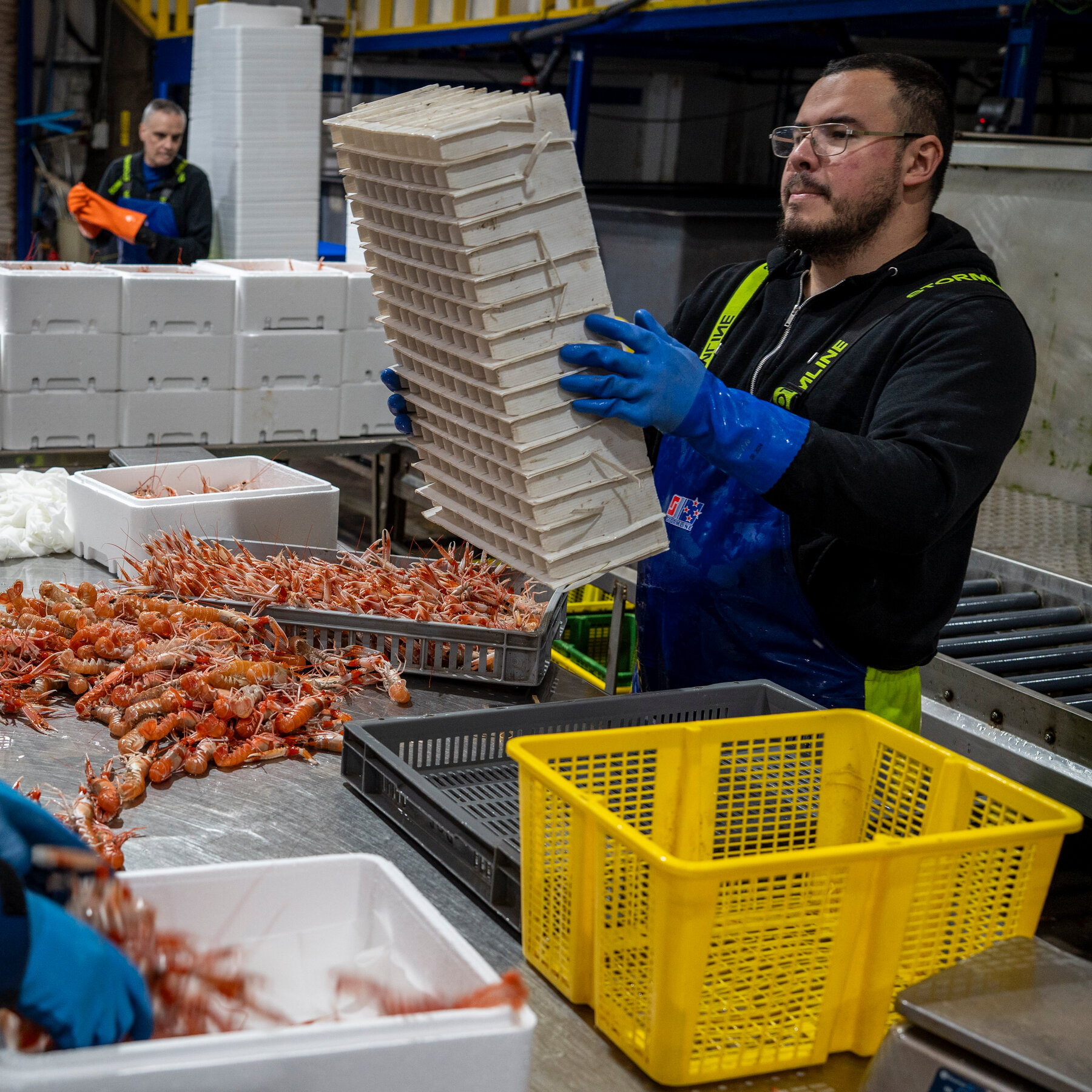 As UK Tries to Curb Immigration, Rural Scotland Looks to Attract Foreign Workers