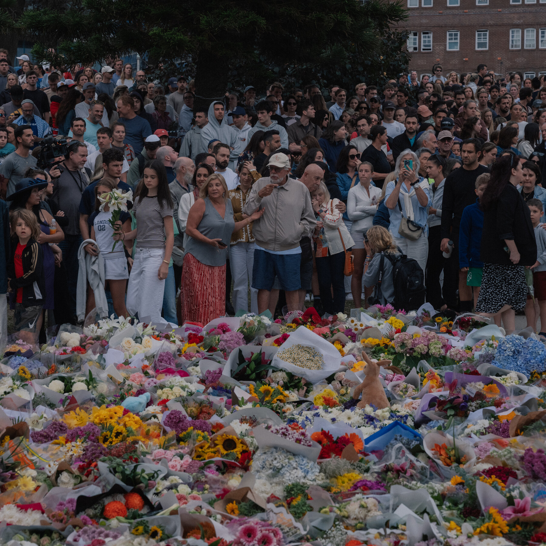 Live Updates: Australian Police Plan to Charge Suspect in Bondi Massacre