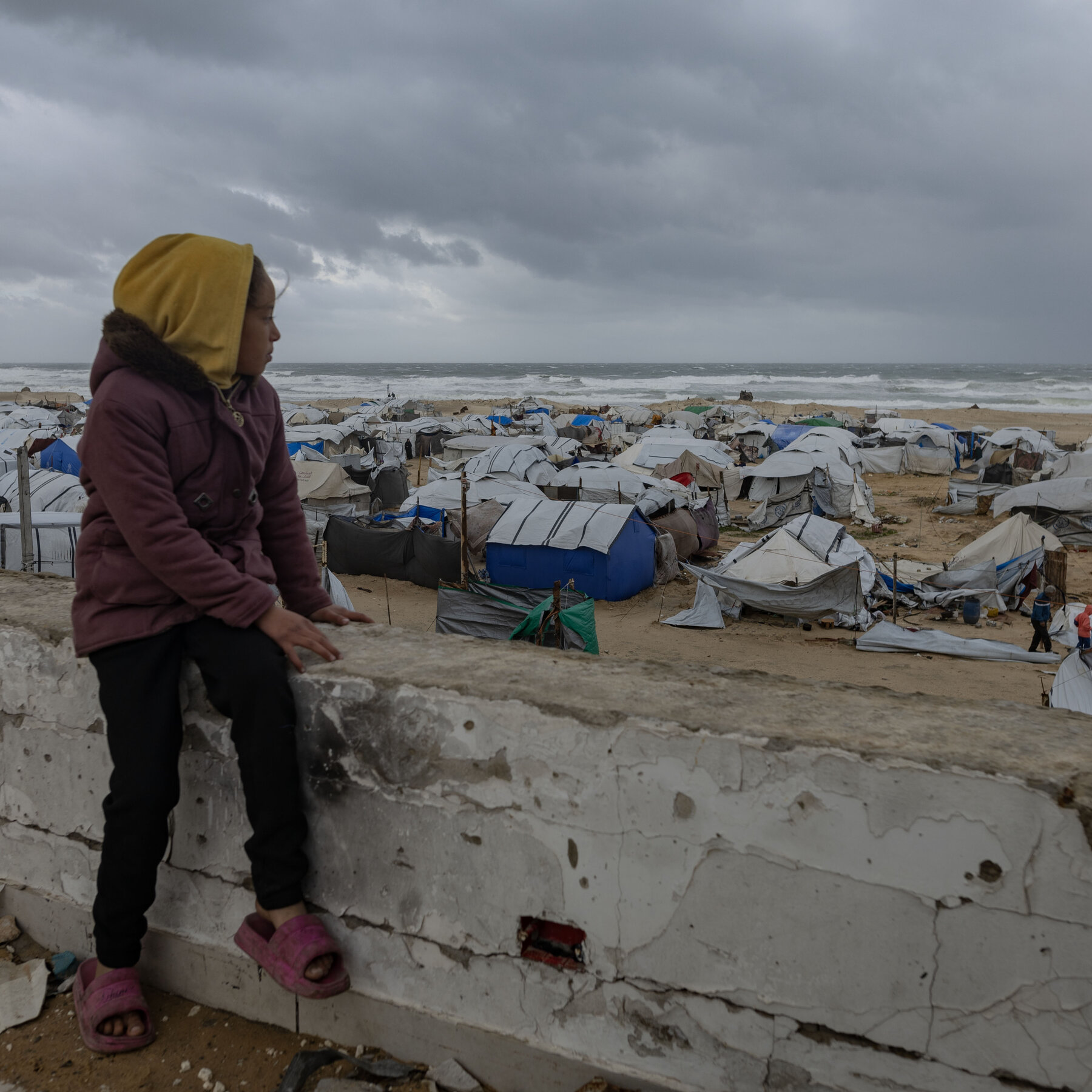 World Leaders Consider Joining Trump’s ‘Board of Peace’ for Gaza