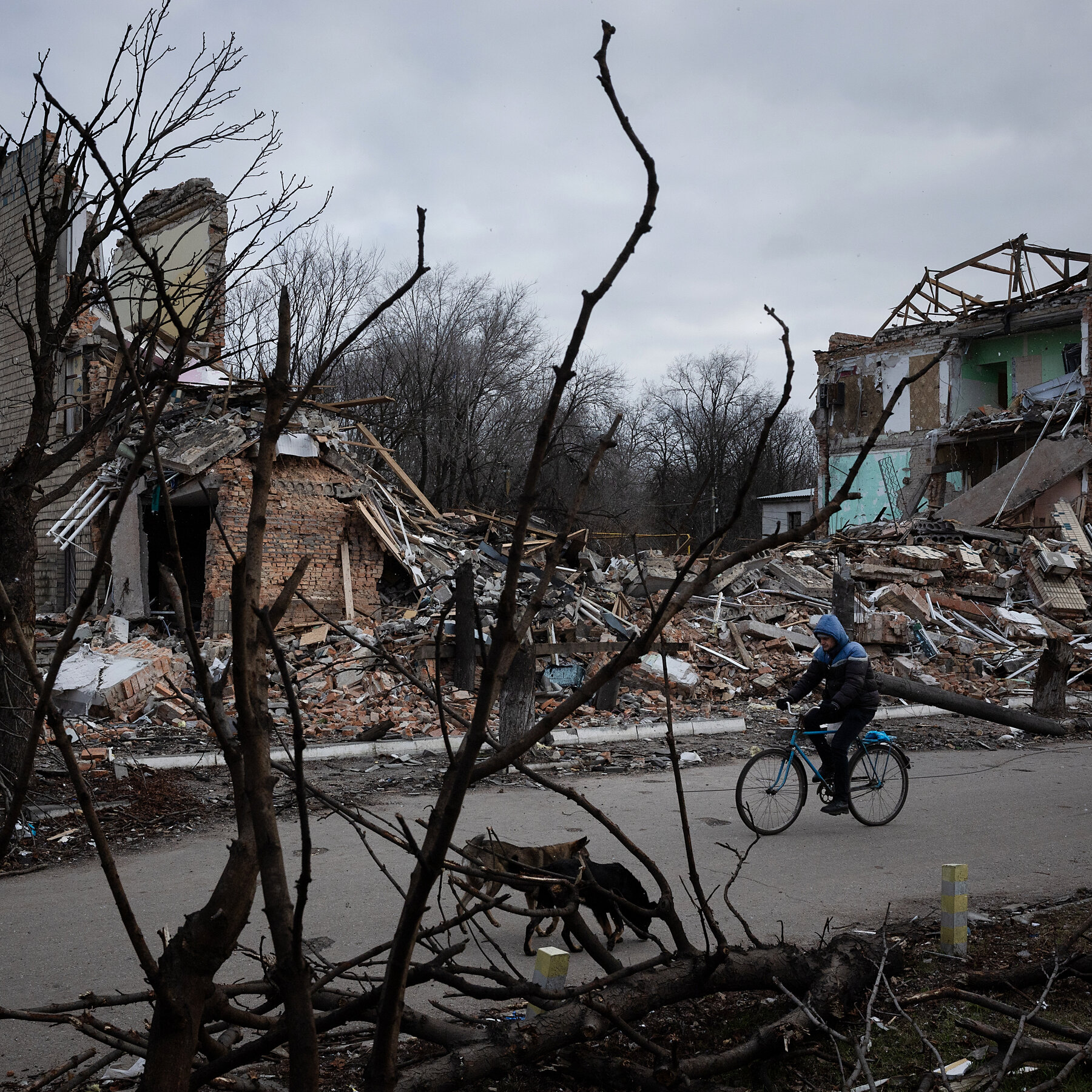 At the Center of Trump’s Vision for Rebuilding Ukraine: BlackRock