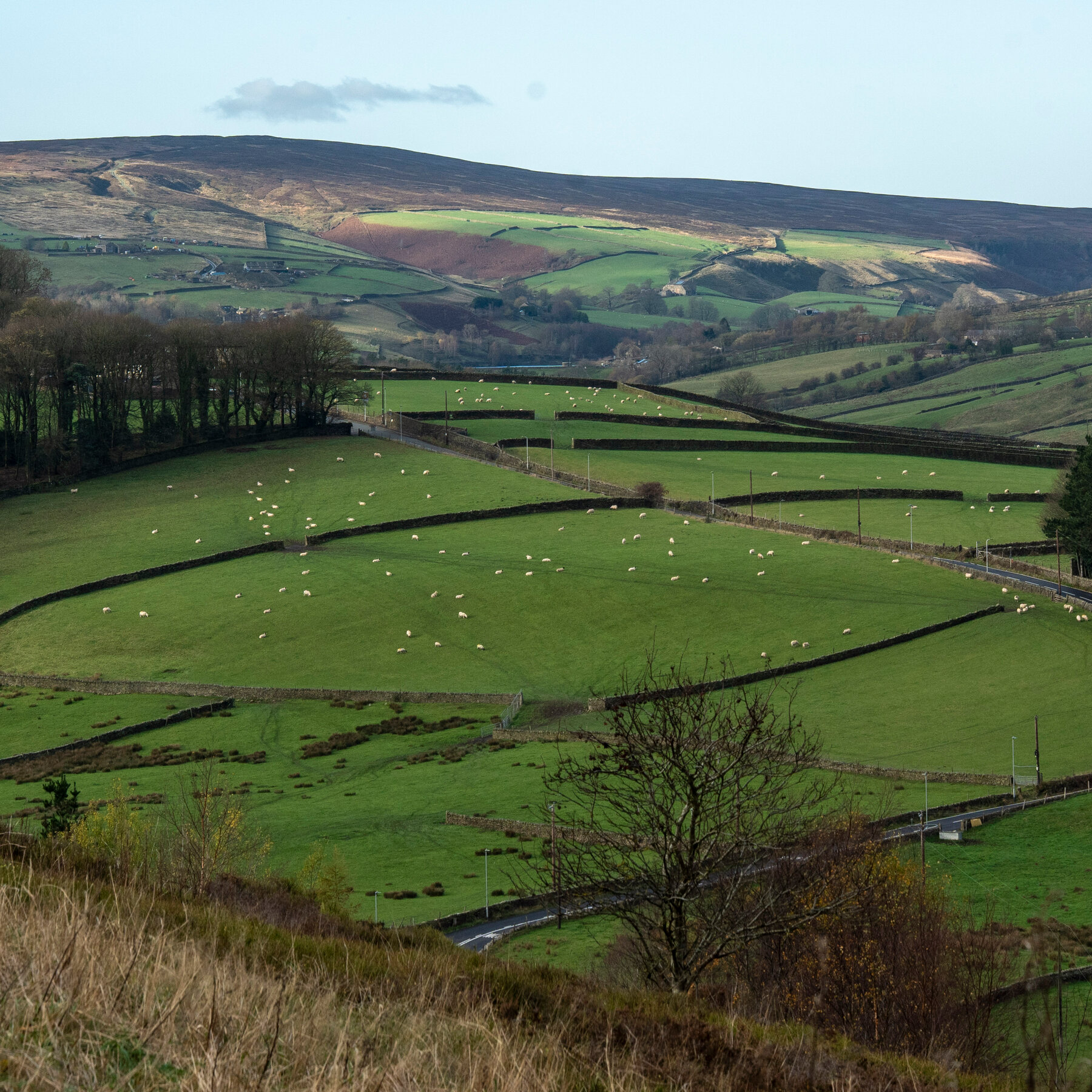 What Brontë Country Tells Us About Britain Today