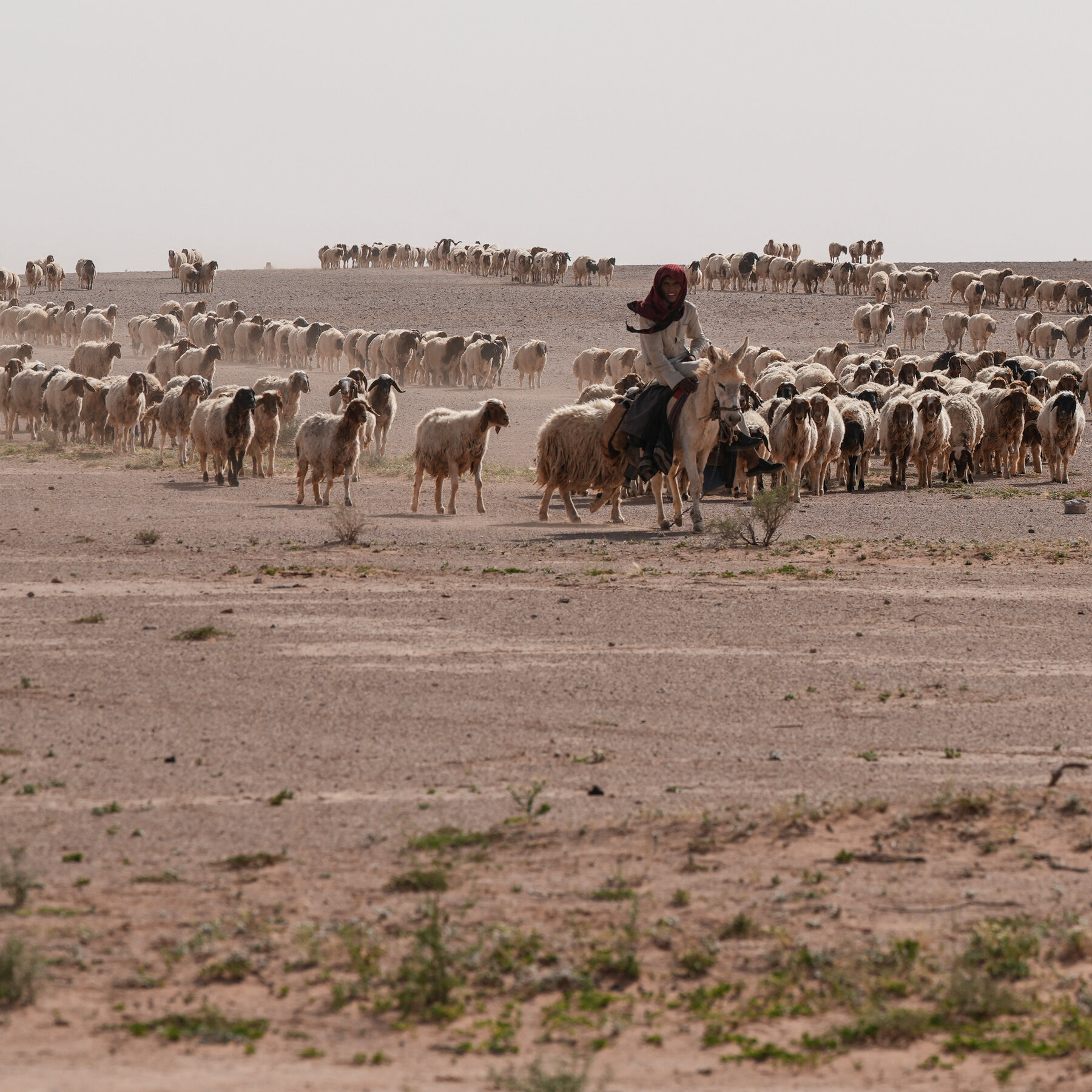 In Iraqi Desert, Two Israeli Outposts Were Kept Secret for Months