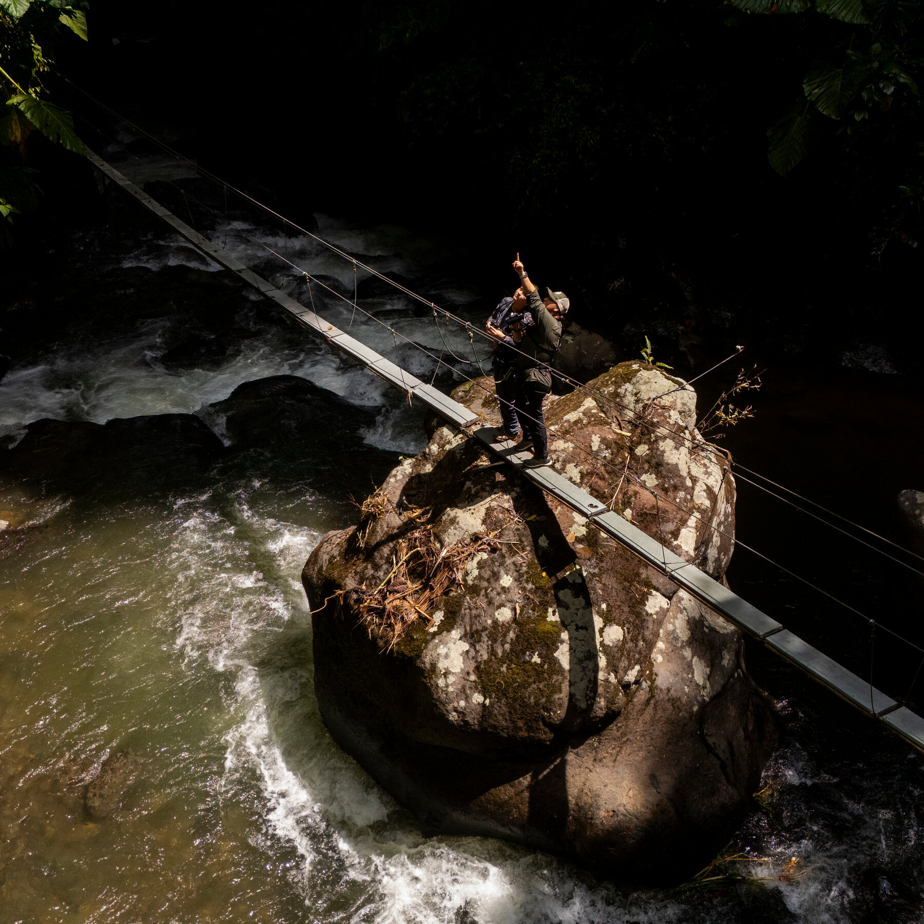 How Birding Apps Are Boosting Tourism in the World’s Top Bird Destination