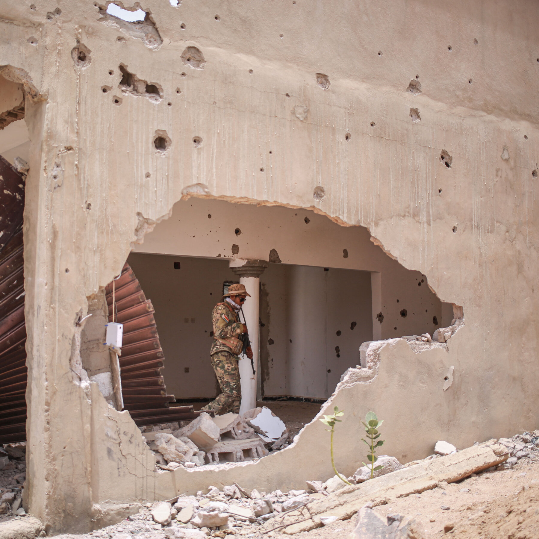 Mali Conflict Escalates as Rebel Alliance Seizes Key Cities