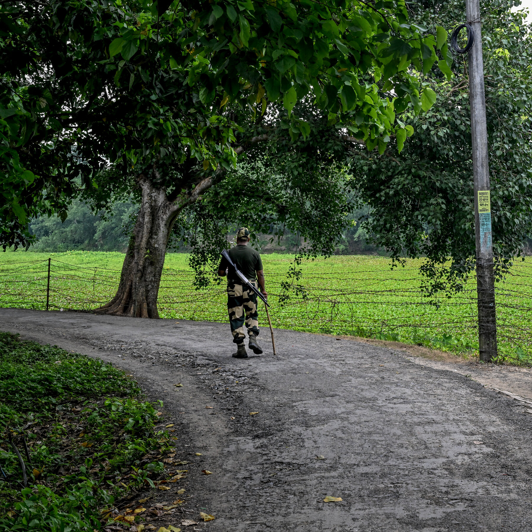 Deportations by India Cause Tension Along Border with Bangladesh